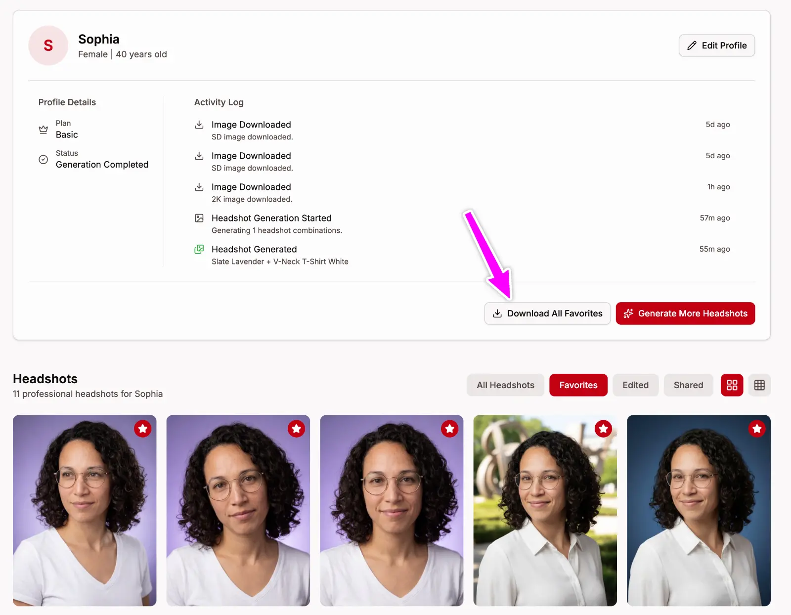 Batch download favorites as a zip file